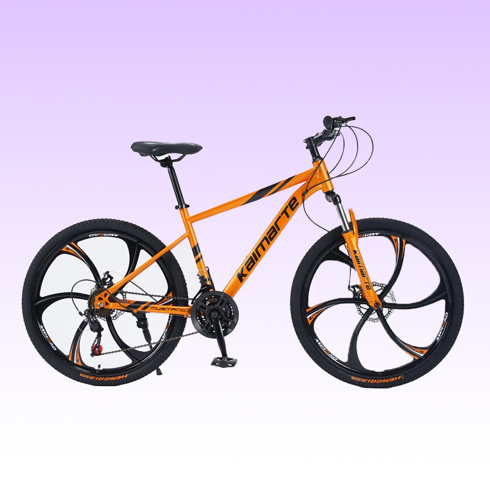 Op maat gemaakte OEM 26, 27,5  - Mountain Biking Europe recensie en prijs